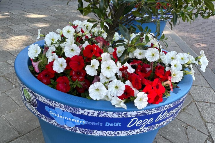 Alvium plantenbak - 120 bakken geplaatst in centrum Delft Alvium plantenbak - 120 bakken geplaatst in centrum Delft