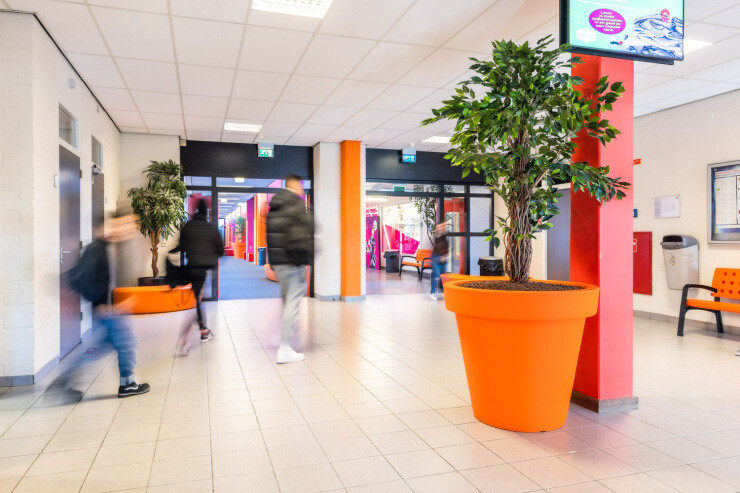 Alvium plantenbak functioneel en kleurrijk vormgegeven Alvium plantenbak functioneel en kleurrijk vormgegeven