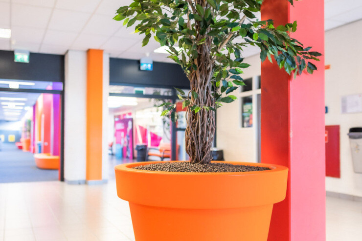 Alvium mega grote plantenbak in felle kleuren Alvium mega grote plantenbak in felle kleuren