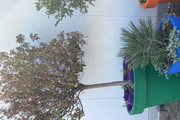 Alvium plantenbakken van polyethyleen - 9 frisse kleuren Alvium plantenbakken van polyethyleen - 9 frisse kleuren