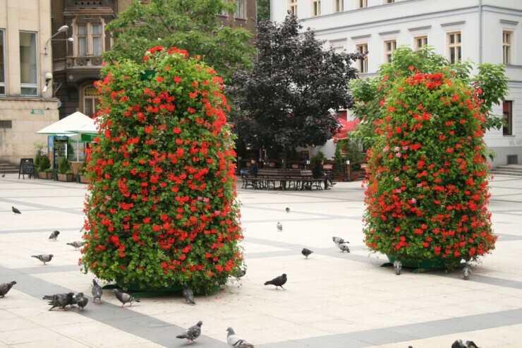 Flower Tower - makkelijk water geven