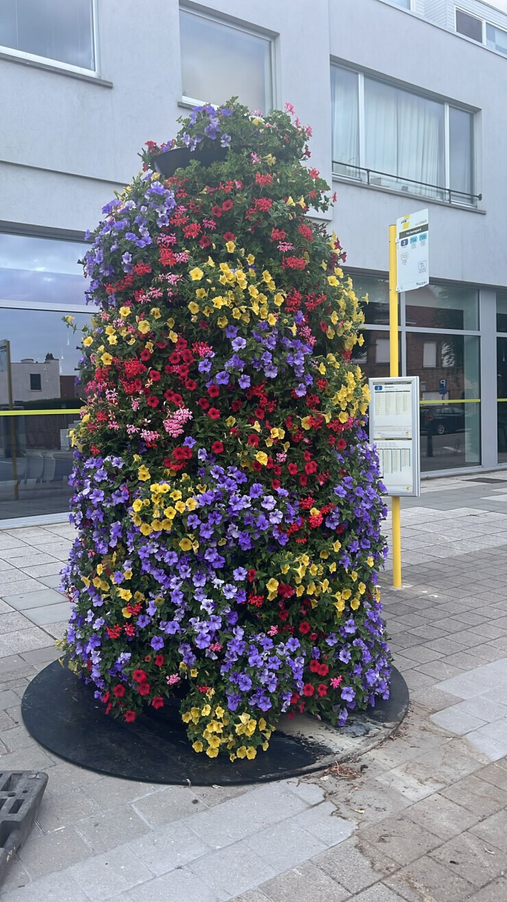 Flower Tower fleurt de Stad Brugge op Flower Tower fleurt de Stad Brugge op