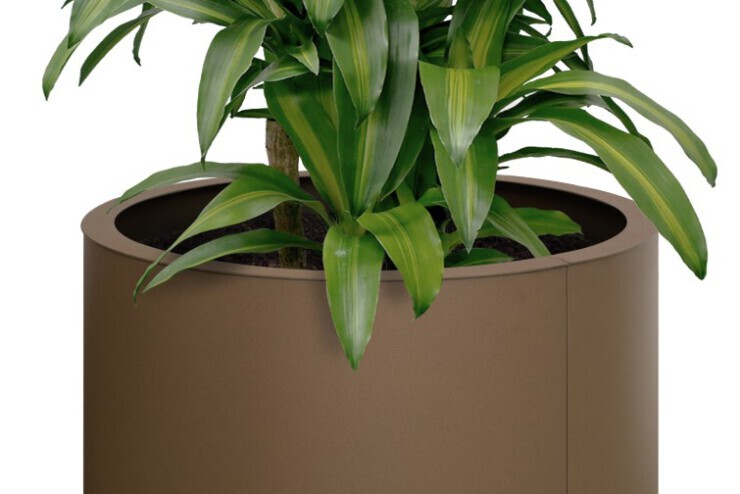 Malaga plantenbak wordt ook toegepast in kantoren en bedrijvenr Malaga plantenbak wordt ook toegepast in kantoren en bedrijvenroene invulling van de wandelpromenade