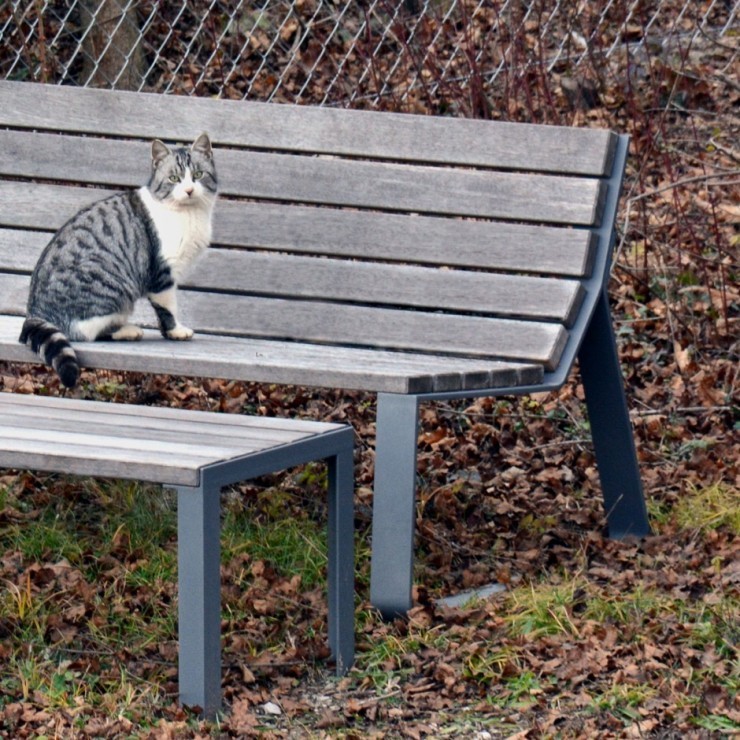 Mayfield bank met bijpassende bijzettafel voor buiten Mayfield bank met bijpassende bijzettafel voor buiten