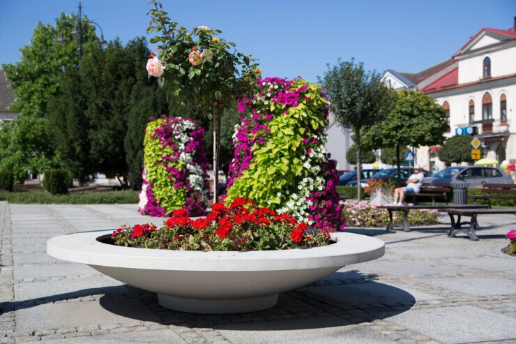 Plane Ring Lux gevuld met rode geraniums