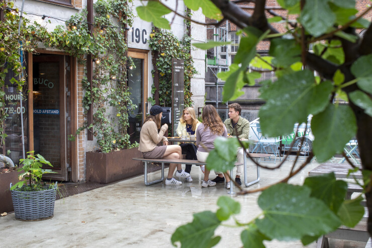 Plateau Picknicktafel Street sluit naadloos aan in het groen Plateau Picknicktafel Street sluit naadloos aan in het groen