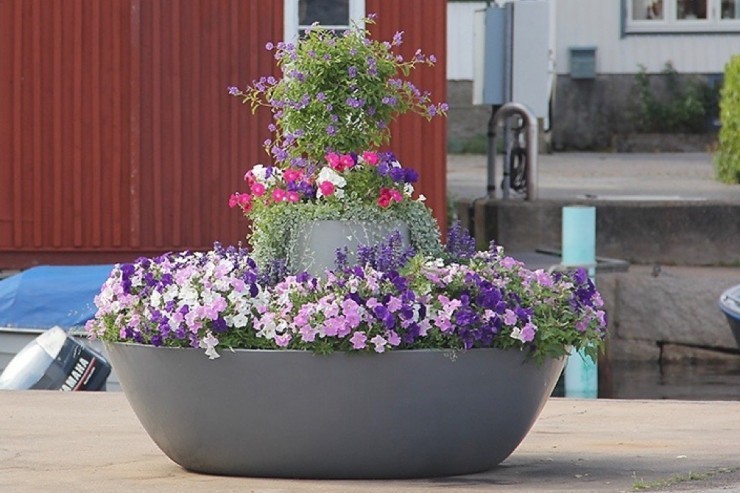 Saturnus zitelement te zien met bloemen, struiken en planten Saturnus zitelement te zien met bloemen, struiken en planten