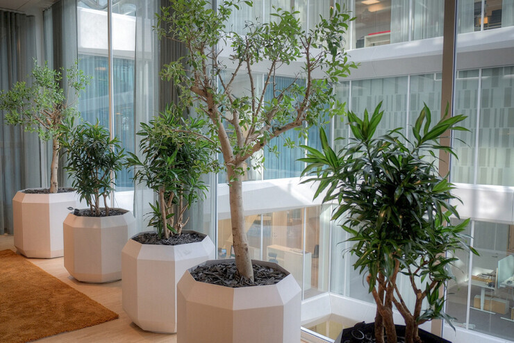 Solaris plantenbak voor in kantoren en winkelcentra