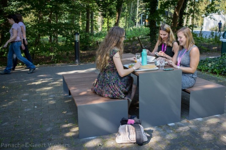 Passepartout Wood tafel voor parken en openbare buitenruimtes