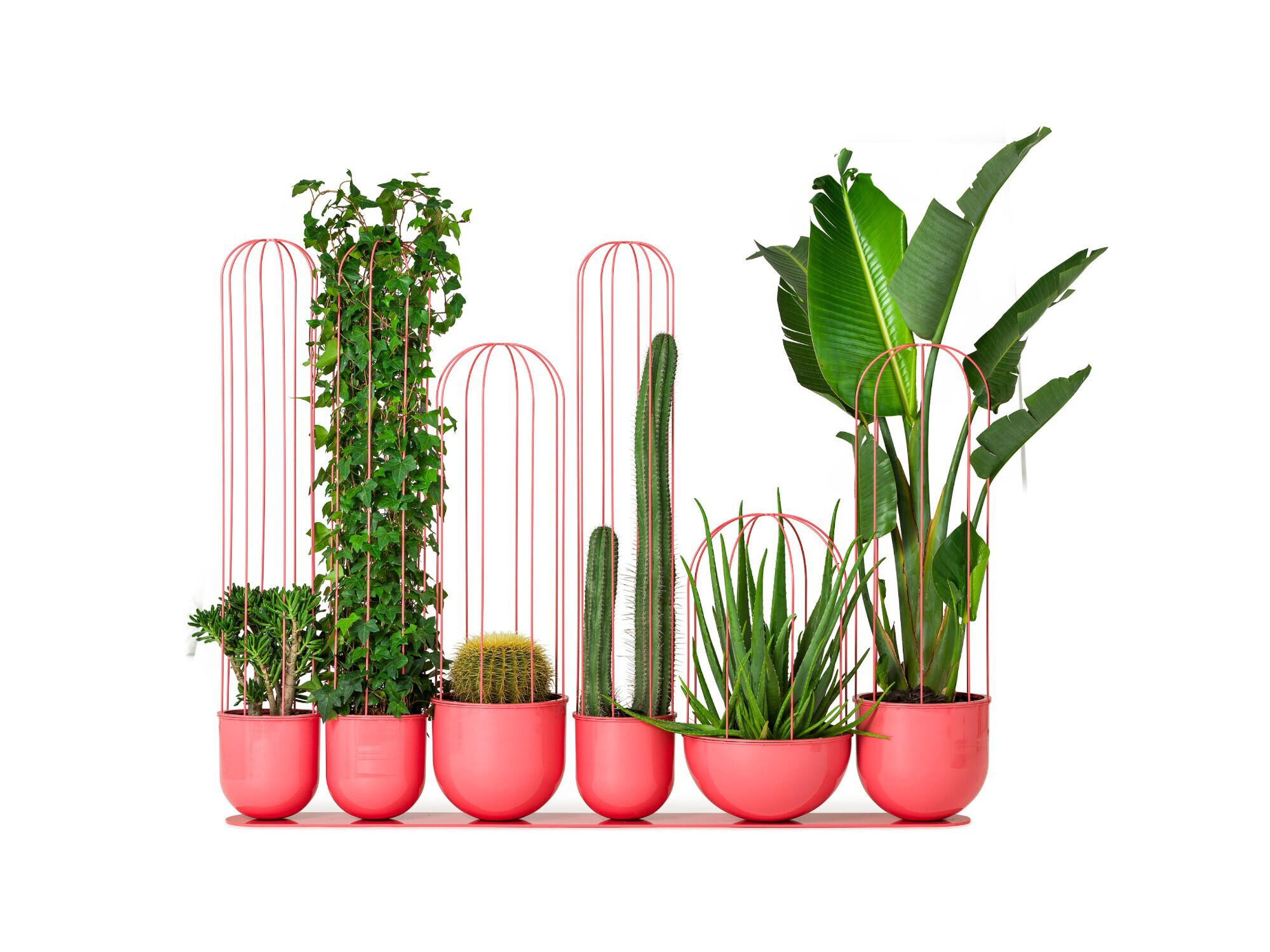 Cacti plantenbak - plantenbakgroep - 3 vormen - 3 formaten - roomdivider - ruimtebesparend - gemaakt van staal en aluminium - 4 kleuren - openbare ruimte - winkelcentra - musea - wachtruimte - ontvangsthal - appartementencomplex