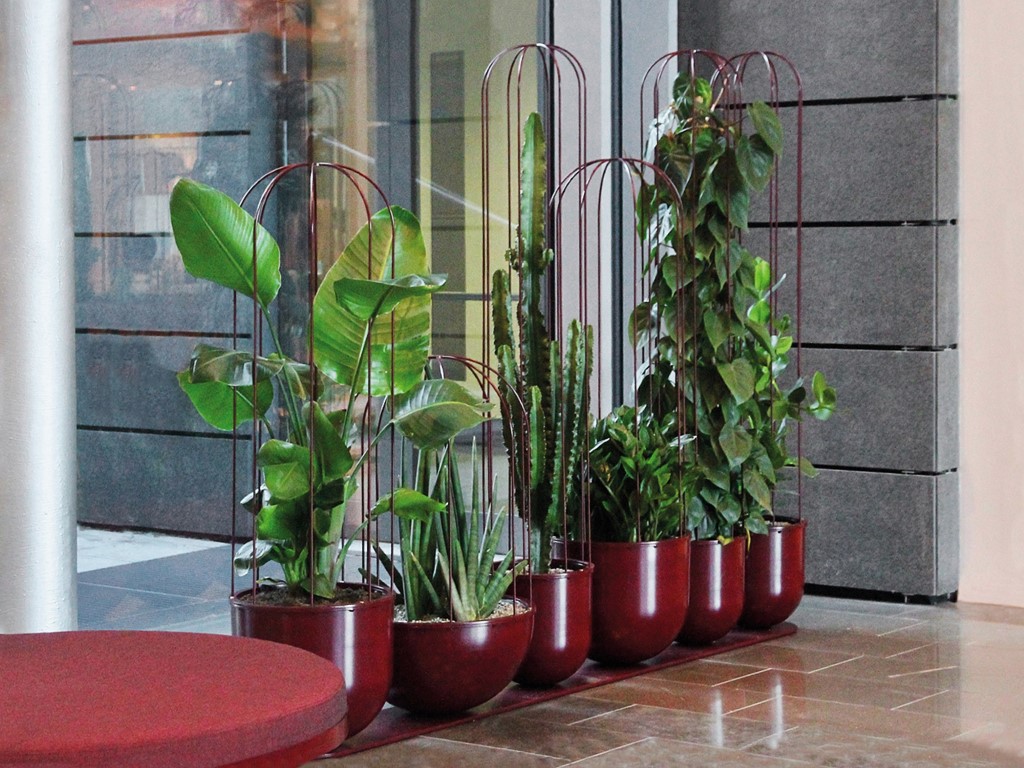 Cacti plantenbak-opstelling in verschillende hoogtes en kleuren ruimtebesparend