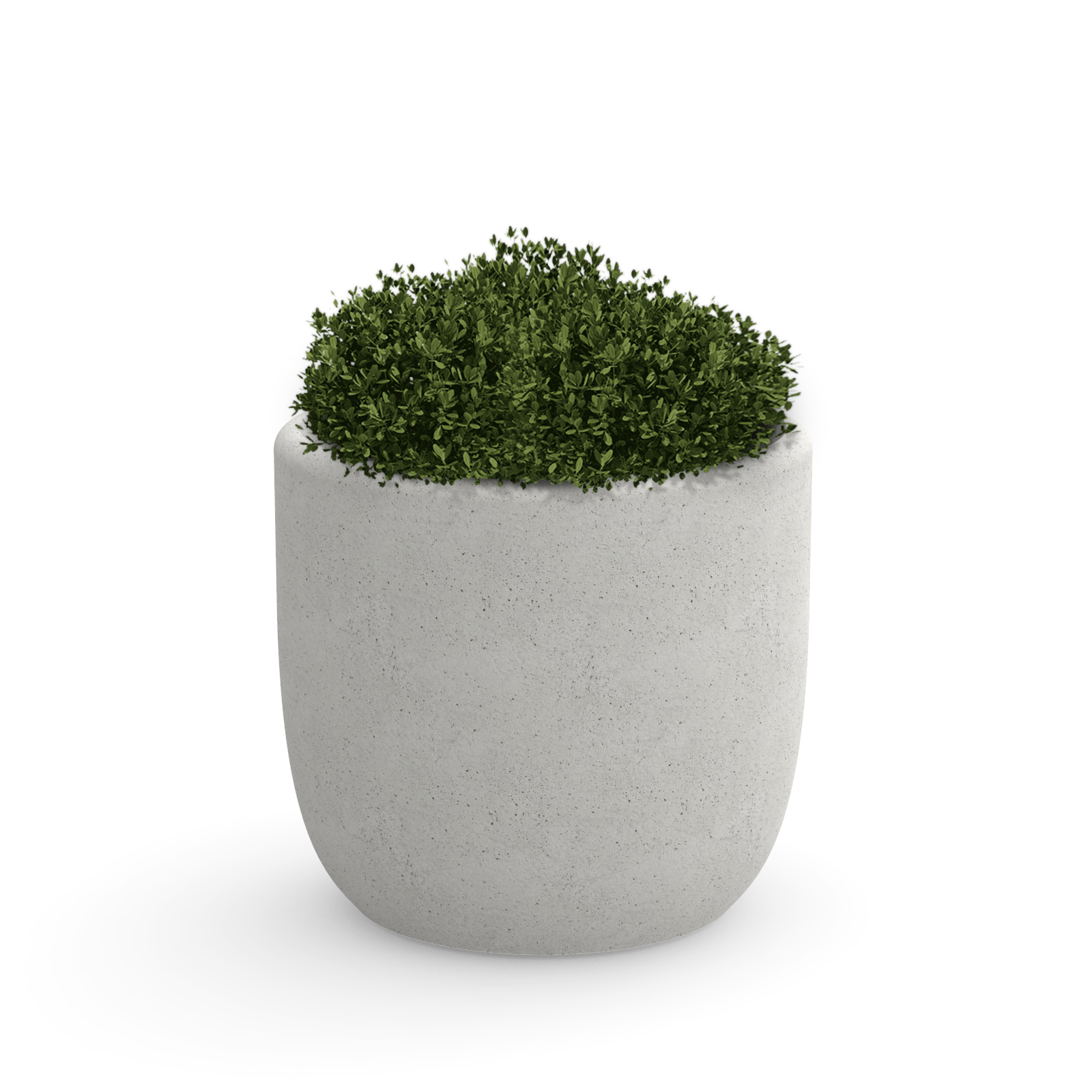 Frac Plantenbak
