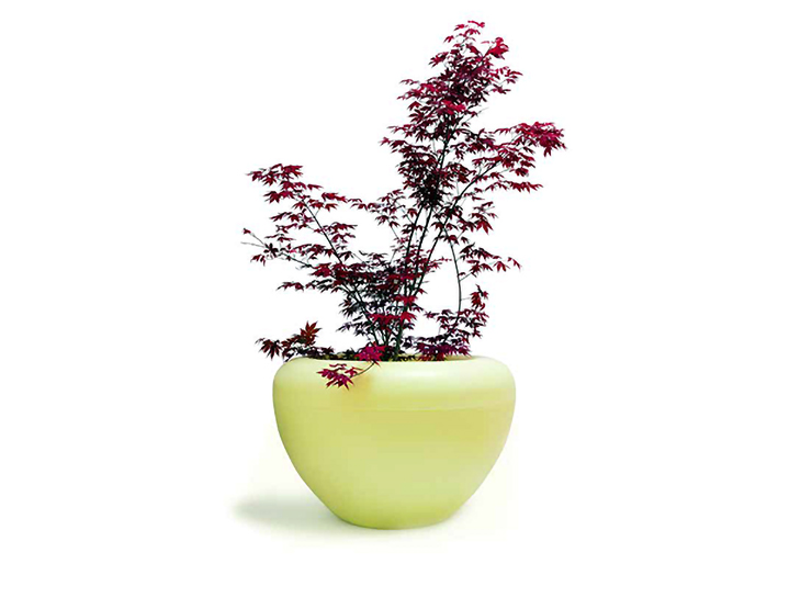 Scoop Light Plantenbak