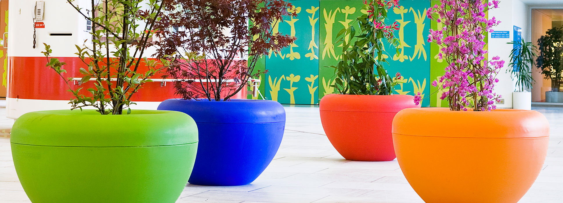 Scoop plantenbak voor een kleurrijke en vrolijke binnenruimte