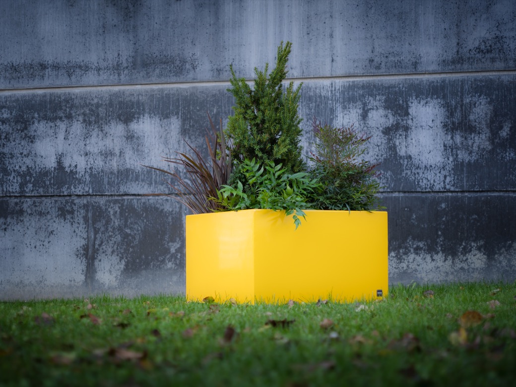 dood Onverschilligheid Rot Square Plantenbak | Vierkante stalen bloembakken | Tjinco