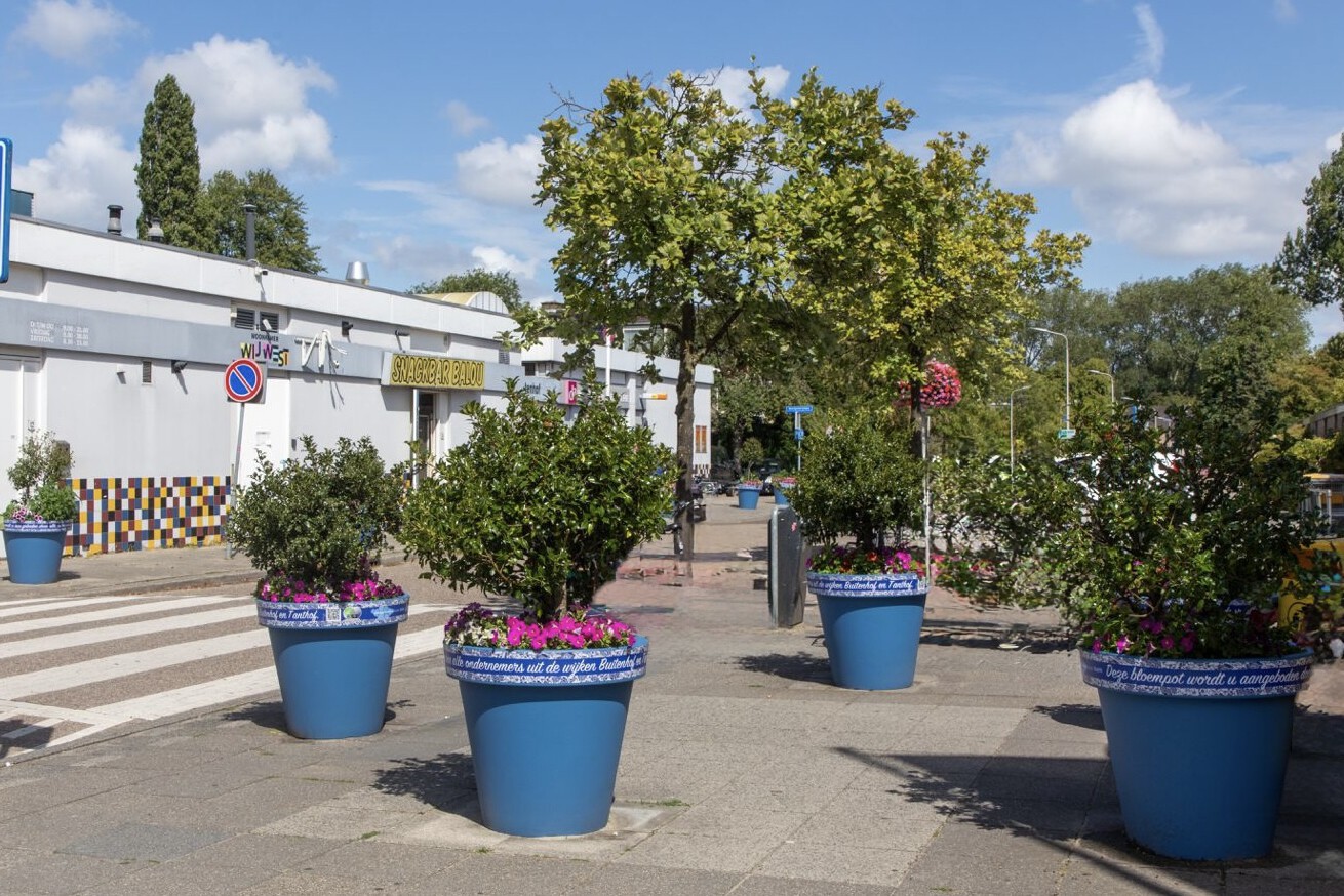  Kleur in Delft: Reuze bloempotten brengen Buitenhof en Tanthof tot leven