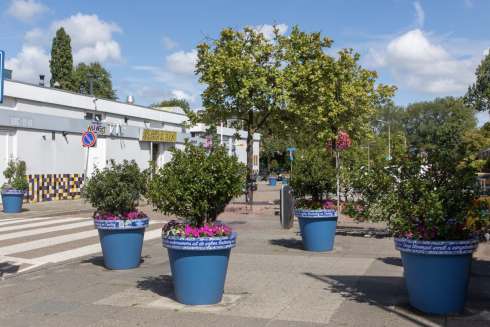 Kleur in Delft: Reuze bloempotten brengen Buitenhof en Tanthof tot leven